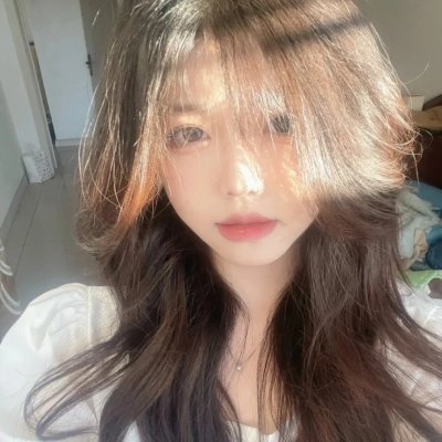 小象守护者